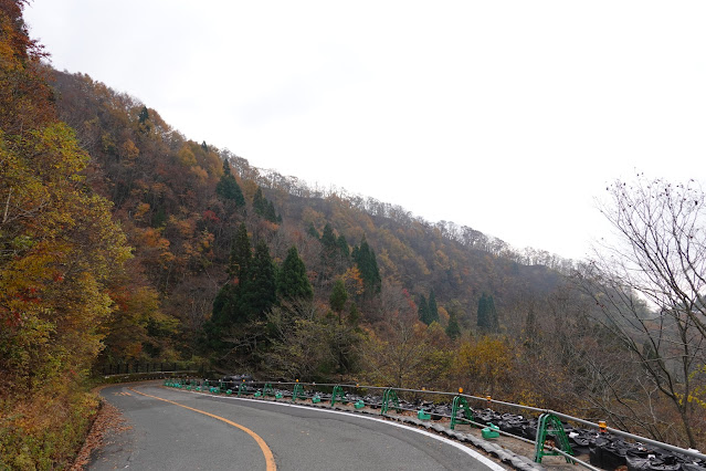 鳥取県道45号倉吉江府溝口線（大山環状道路）