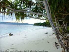 Mansinam is a small tropical island in Manokwari regency of West Papua. Photo: Charles Roring