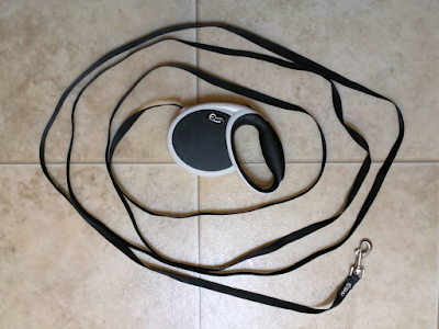 Non-retracting leash