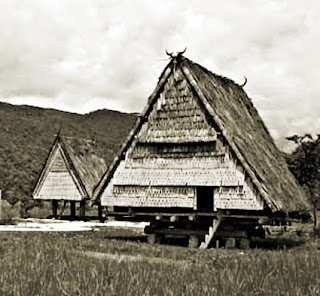 Keunikan-Sejarah-Rumah-Adat-Tradisional-Tambi-Sulawesi-Tengah