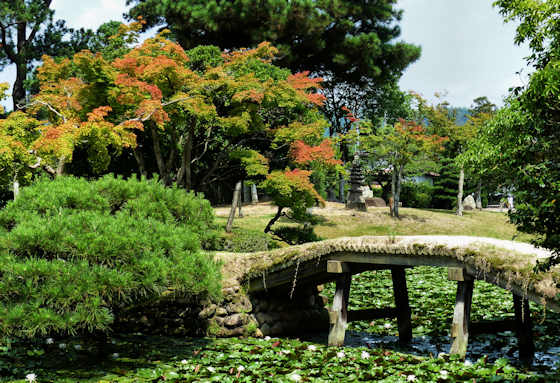 Bridges at Shurakuen Garden Tsuyama.