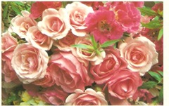rosen