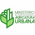 Resolución mediante la cual se designa a Jonas Jeimon Alcalá Gutiérrez, como Vicepresidente en calidad de Encargado de la Corporación Venezolana para la Agricultura Urbana y Periurbana S.A., (CVAUP)