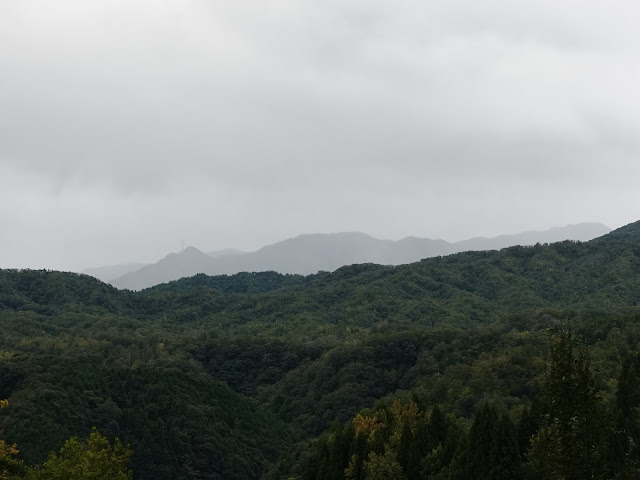 果樹園の農道