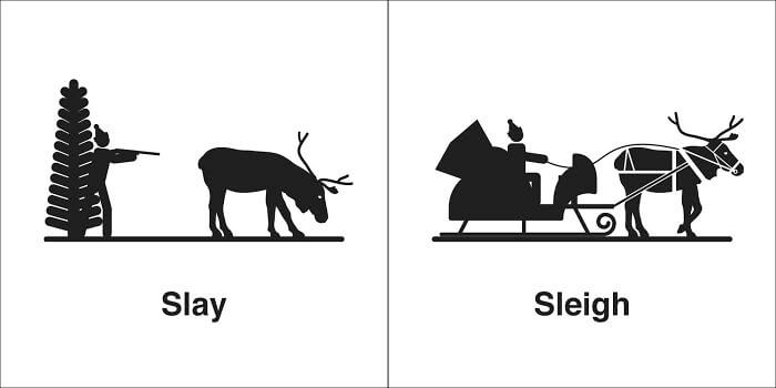 35 Ingenious Illustrations That Help Us Distinguish Words That Sound The Same