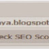 Cara Mengetahui Seo Blogg