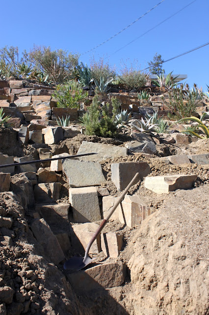 standing near the bottom of an unfinished dry creek