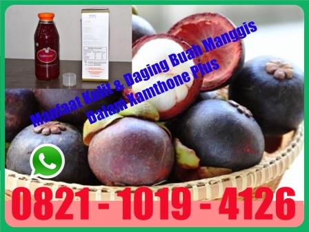 MANGGIS DALAM XAMTHONE PLUS HERBAL AMPUH