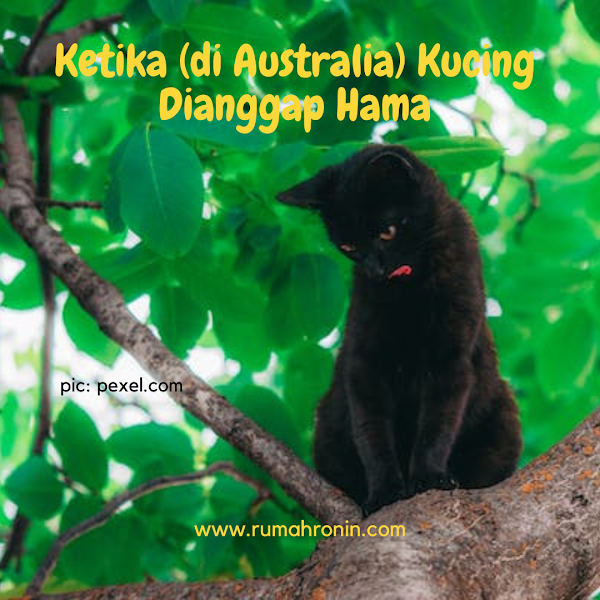 Ketika (di Australia) Kucing Dianggap Hama