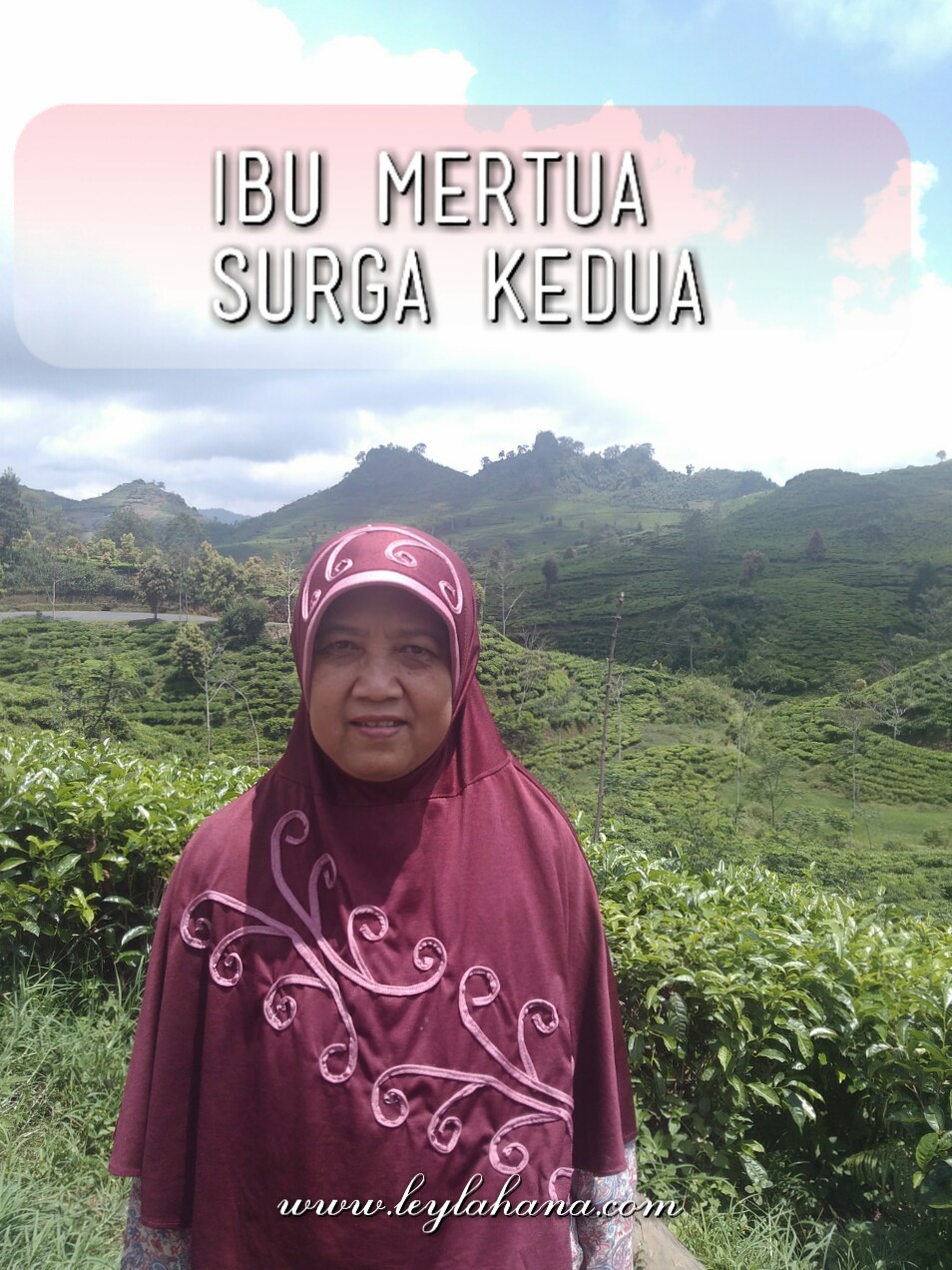 Kata Mutiara Untuk Ibu Mertua Cikimm Com