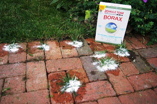 borax weed killer