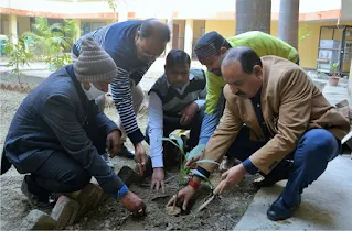 पौधरोपण करके की गयी विश्व कल्याण की कामना | #NayaSaberaNetwork