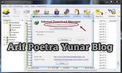 Download IDM 6.11 Build 8 Full version