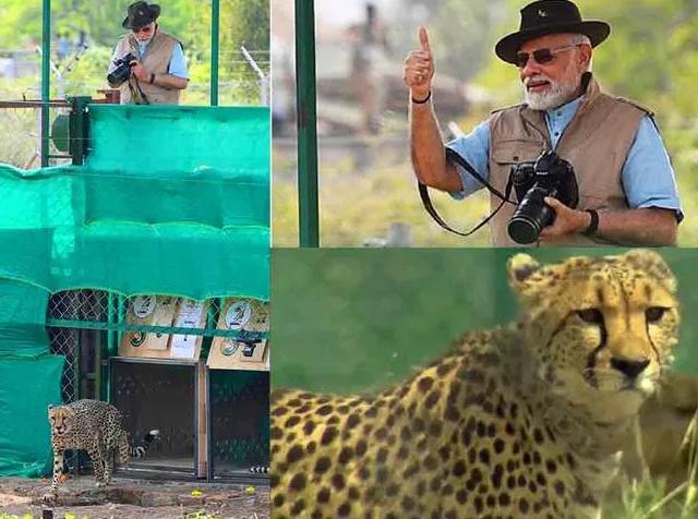 PM Modi after Cheetah release