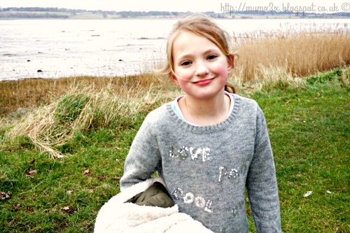 Feeding the geese and swans in february