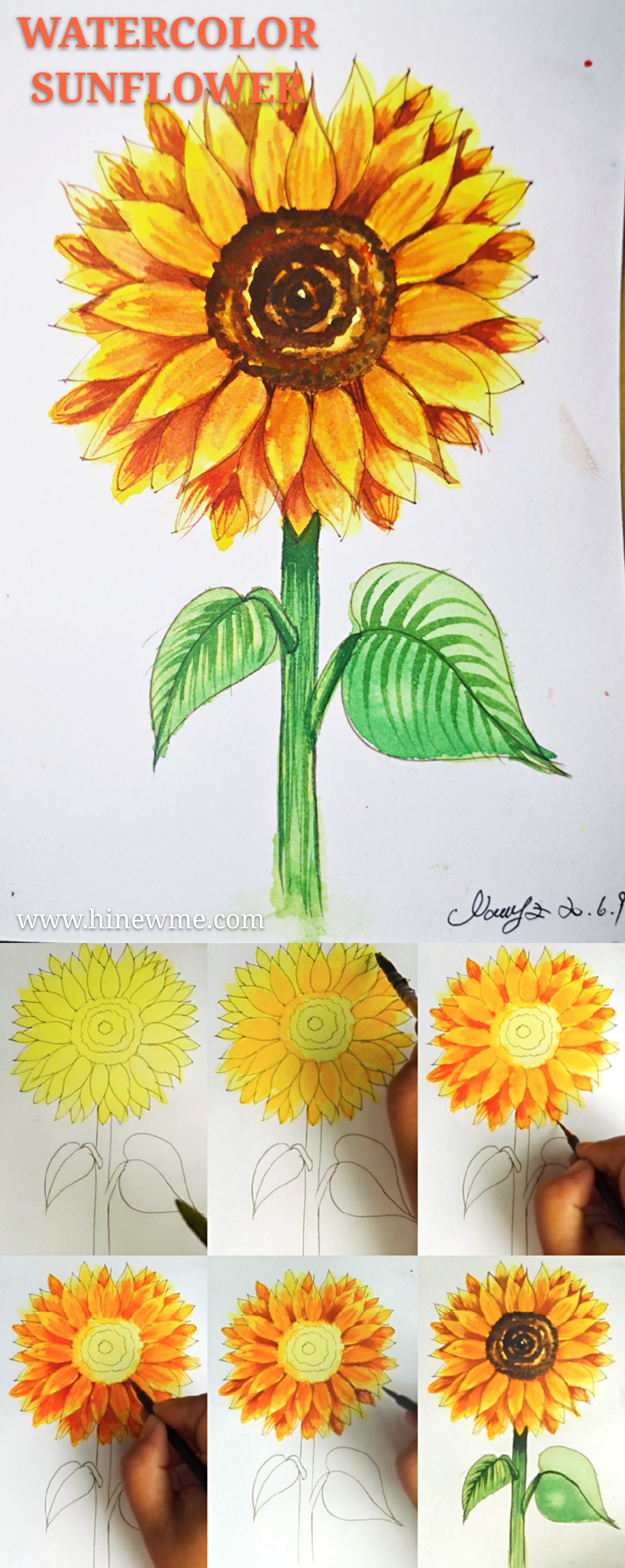 Super easy How to draw a sunflower with Watercolor and basic line tutorial step by step