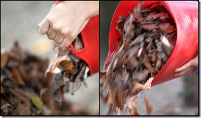 compost3