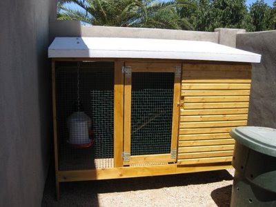 chicken coop designs: building a chicken coop