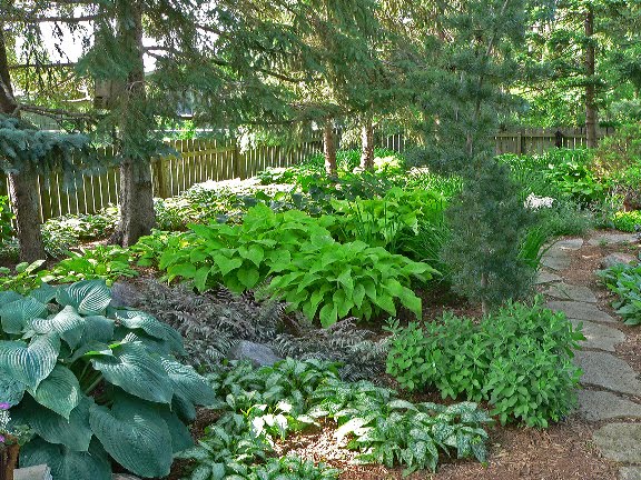 Shade Garden Ideas Hostas Photograph Gardens: This Back Ya