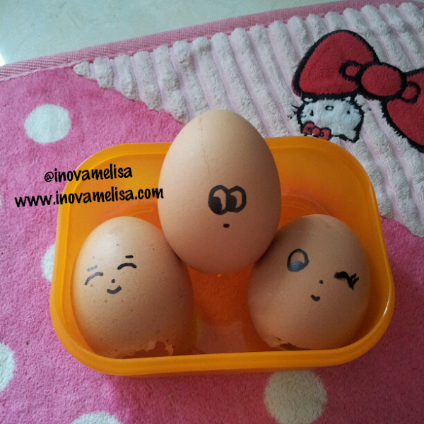 Cara Memanfaatkan Limbah Kulit Telur