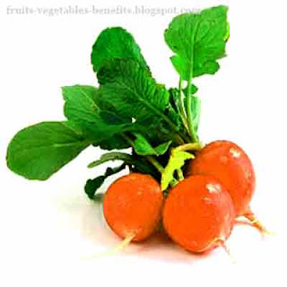 benefits_of_eating_radishes_fruits-vegetables-benefits.blogspot.com(benefits_of_eating_radishes_14)