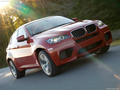 2010 BMW X6 M