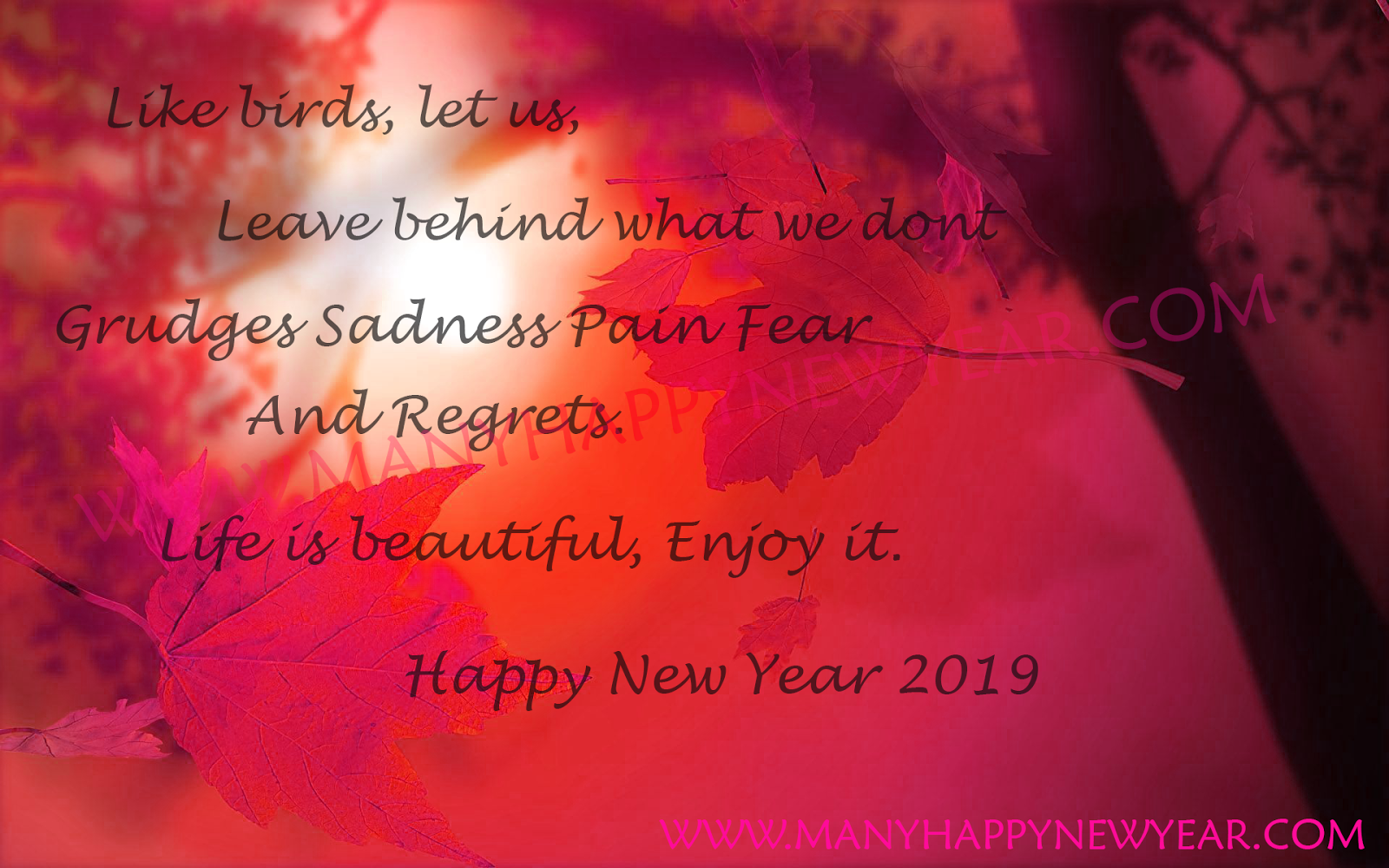 Happy New Year 2019 Images