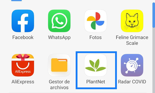 app-plantas