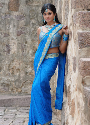 actress vimala raman in saree photos+123actressphotosgallery.com