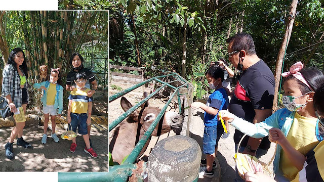 subic zambales zoobic safari