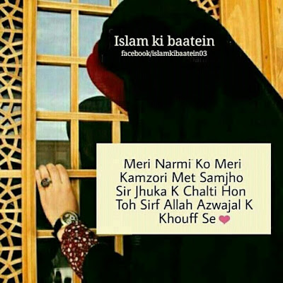 Meri Narmi Ko Meri Kamzori Mat Samjhi Sirf Jhuk K Chalti Hon To Sirf Allah Azwajal K Khoff Se - Meri Diary Se