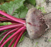 Paniers de Légumes - Paniers de fruits - bio et local