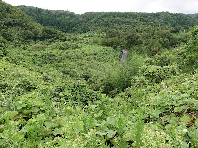 鳥取県道1号溝口伯太線