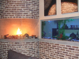 beautiful fish tank