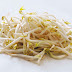 Bean Sprouts Health Benefits