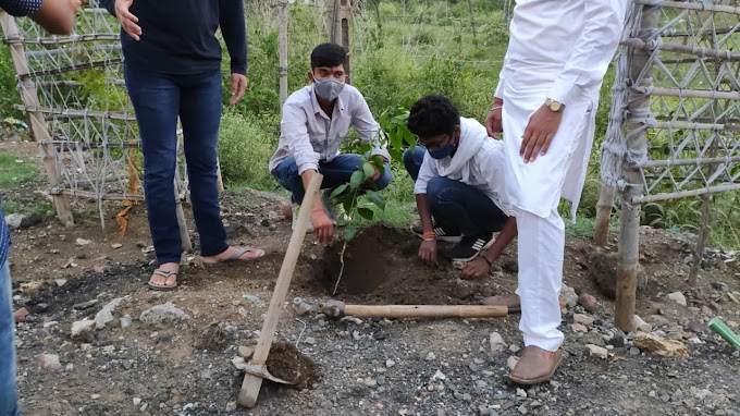 युवा मोर्चा भोपाल द्वारा पर्यावरण दिवस पर पौधरोपण किया