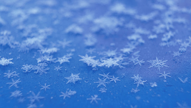 Free Beautiful Winter Snowflakes HD Wallpapers for iPhone 5