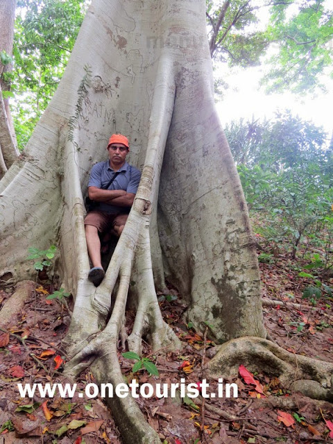 saddle peak photos andaman