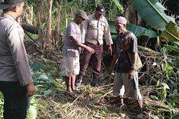 Warga Keerom Meninggal Dunia Akibat Diserang Burung Kasuari