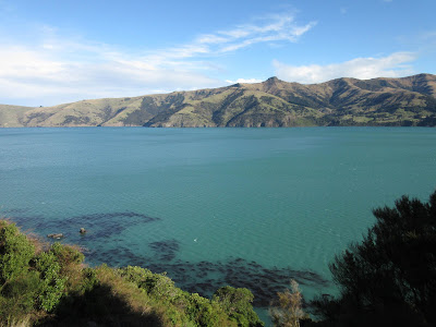 Península de Banks y Akaroa, en Nueva Zelanda