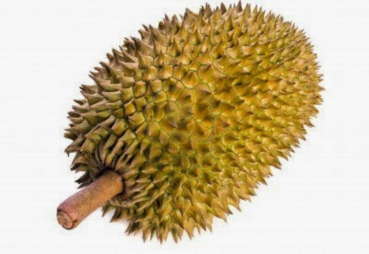Manfaat dan khasiat buah durian Semua Artikel Kesehatan