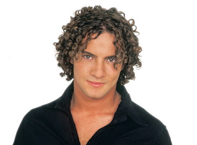 David Bisbal Mi princesa Letra Video