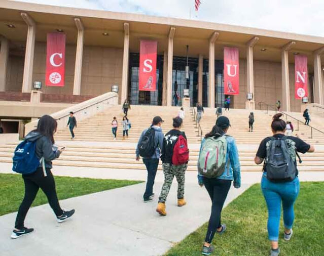 CSUN Canvas: Helpful Guide to Access CSUN LMS and Zoom 2023