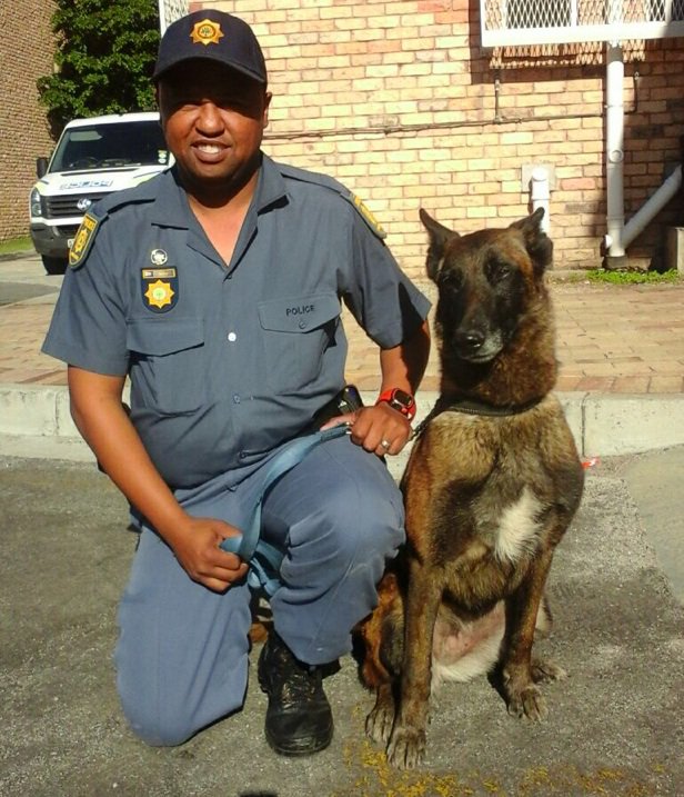 PORT ELIZABETH - POLICE DOG SNIFFS OUT DRUGS AND CATCHES ...