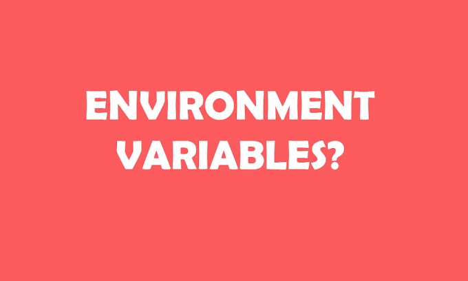 What are ENVIRONMENT VARIABLES ?