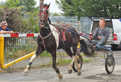 Are you going to Brigg Horse Fair 2016 - to be held on Friday, August 5th? Picture seven on Nigel Fisher's Brigg Blog
