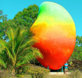 DISAPPEARING ACT: The Big Mango, a fibreglass likeness of the fruit which is abundant in its hometown of Bowen, had disappeared on Monday.