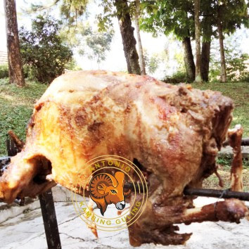 Kambing Guling Muda Purwakarta Recommended Pastinya, Kambing Guling Muda Purwakarta Recommended, kambing guling muda Purwakarta, kambing guling muda, kambing guling,