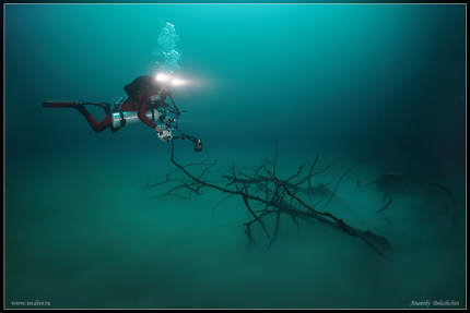 Fenomena Sungai di Bawah Laut Cenote Angelita (Penjelasan)