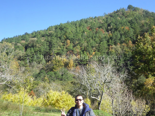 Wuling Farm maple autumn foliage